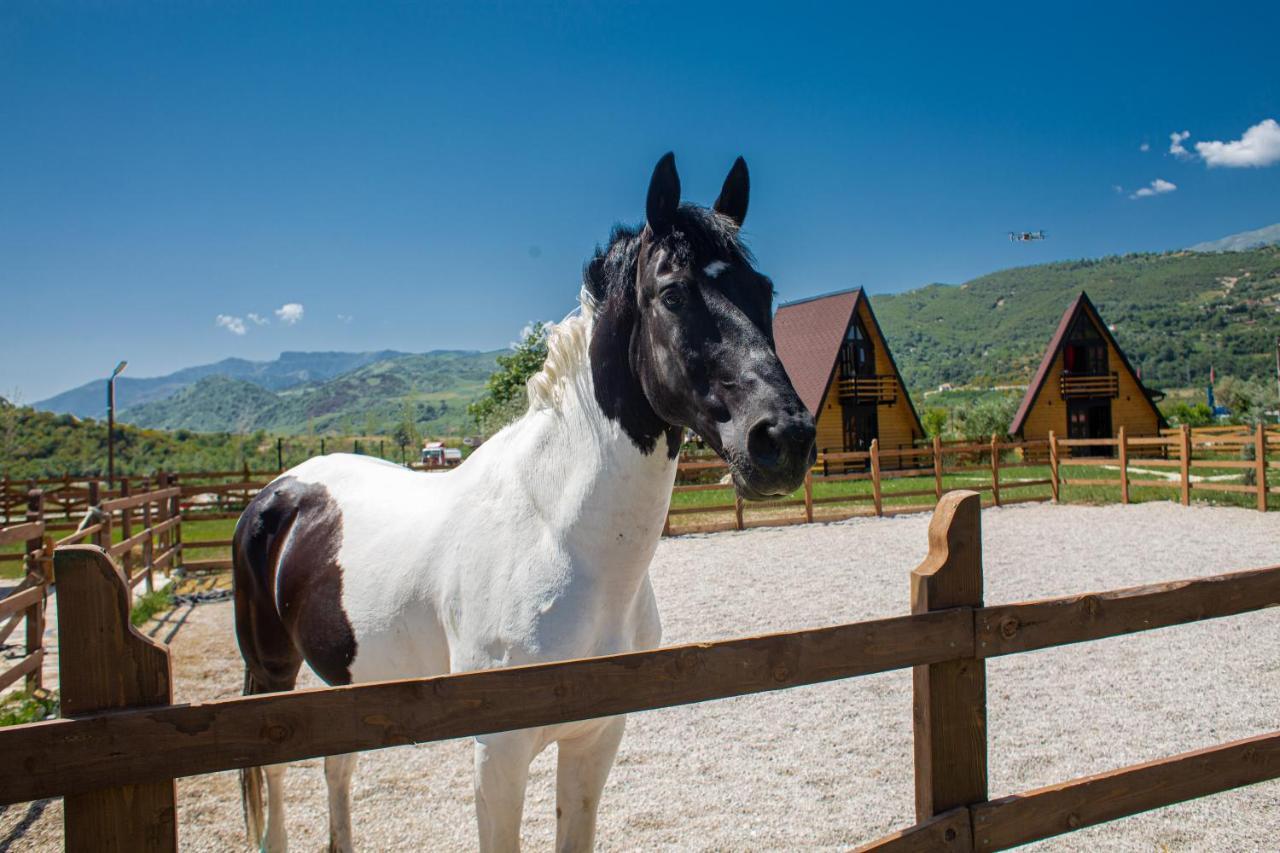 Villa Sancho Farm Albania *