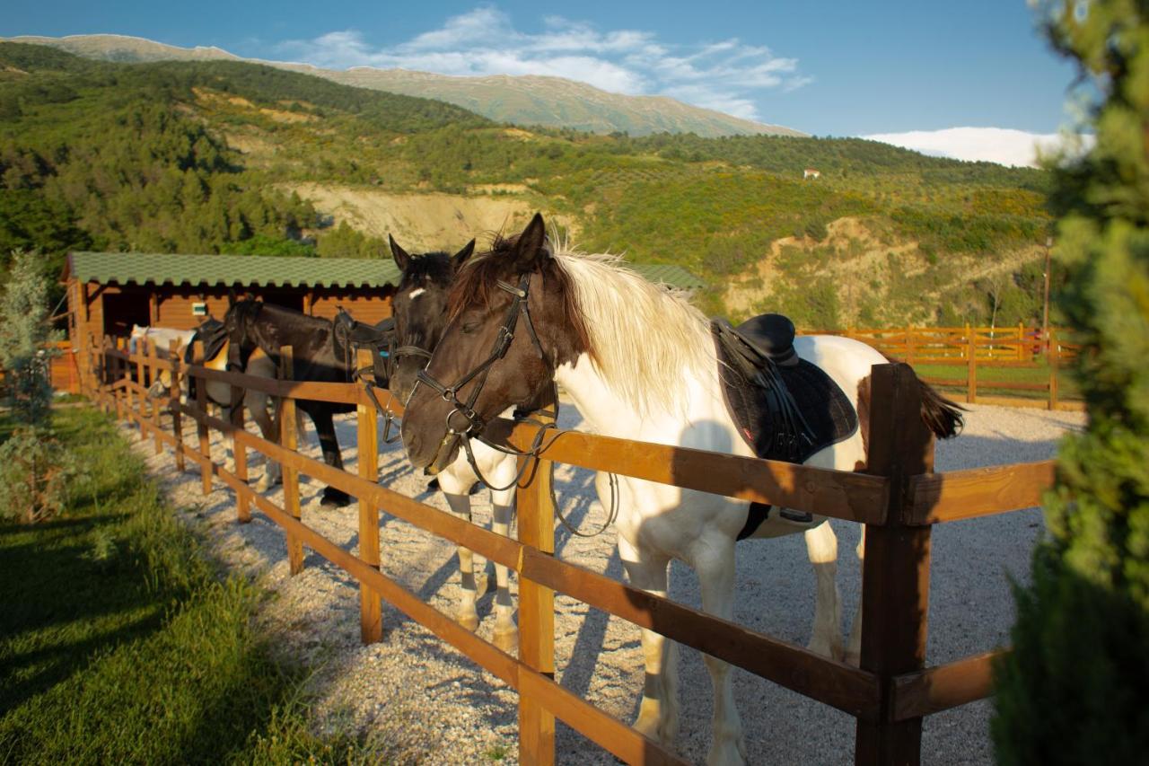 Villa Sancho Farm Albania