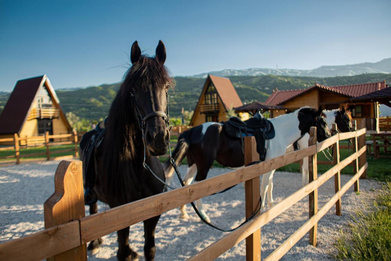 Villa Sancho Farm Albania *