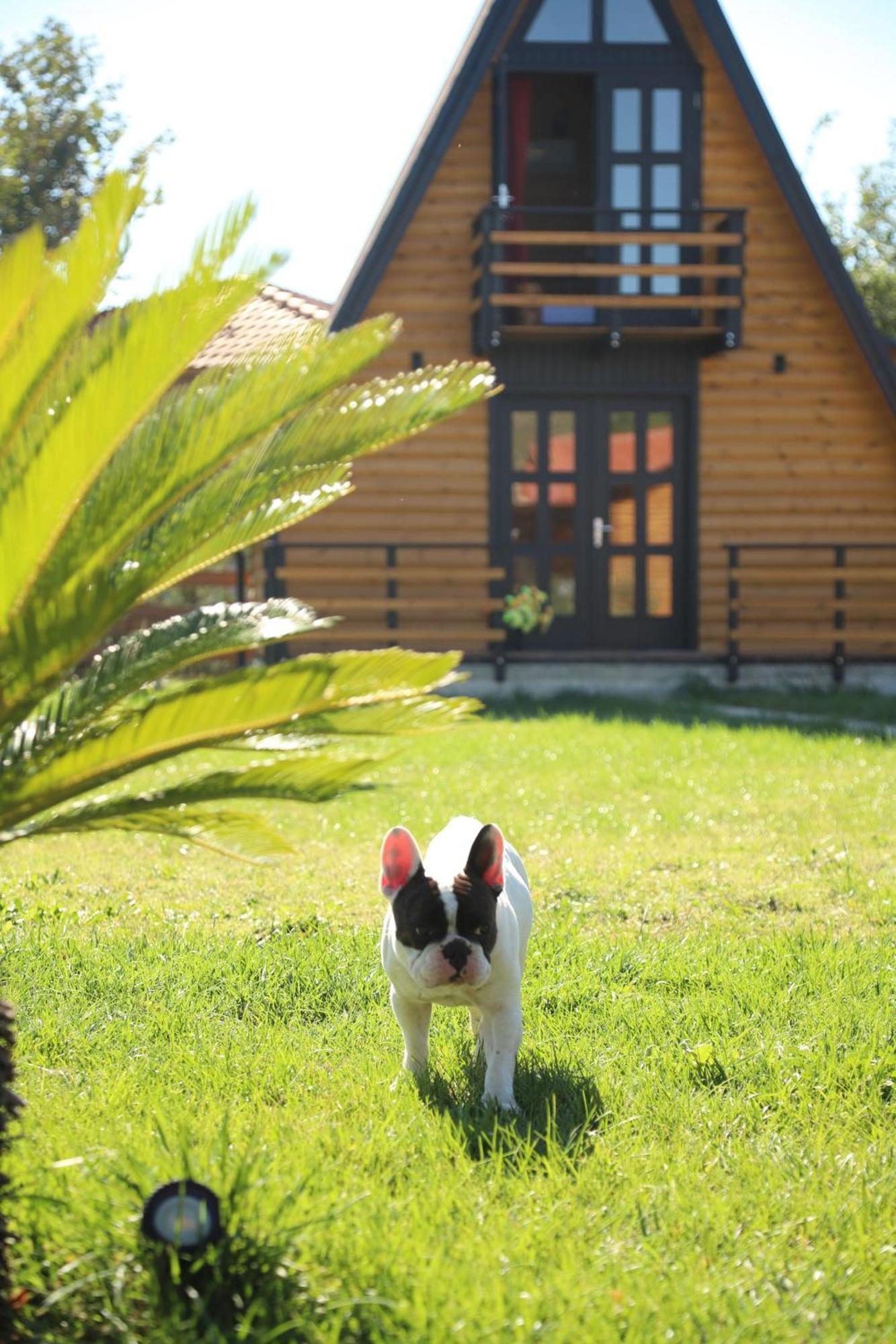 Sancho Farm Albania Villa