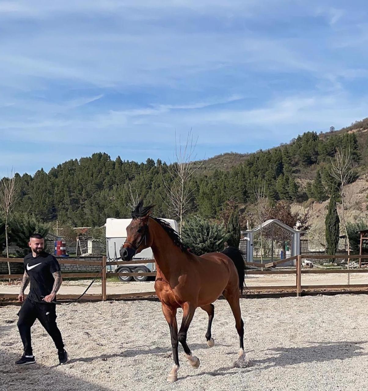 Sancho Farm Albania Villa *