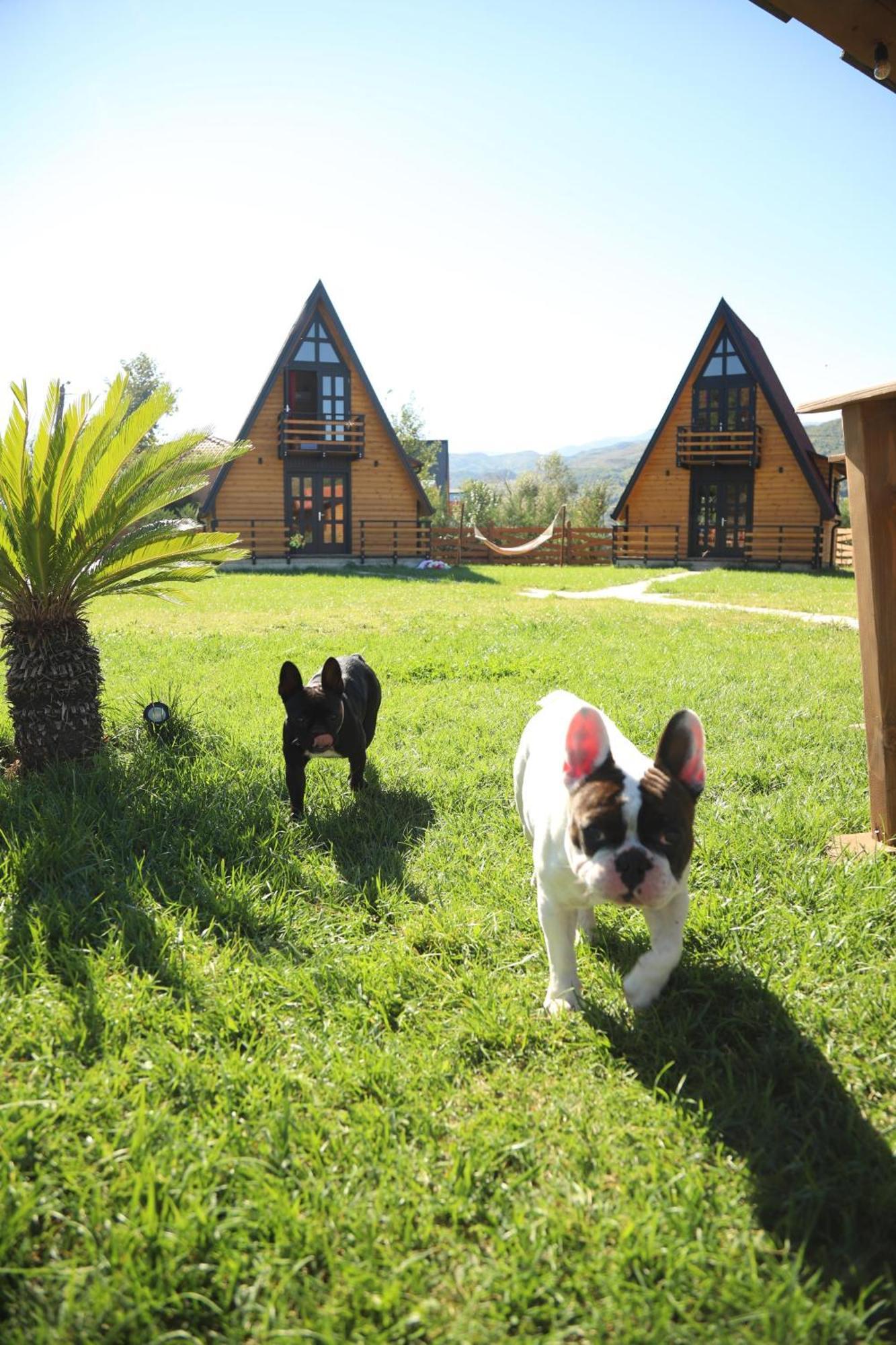 Villa Sancho Farm Albania Memaliaj