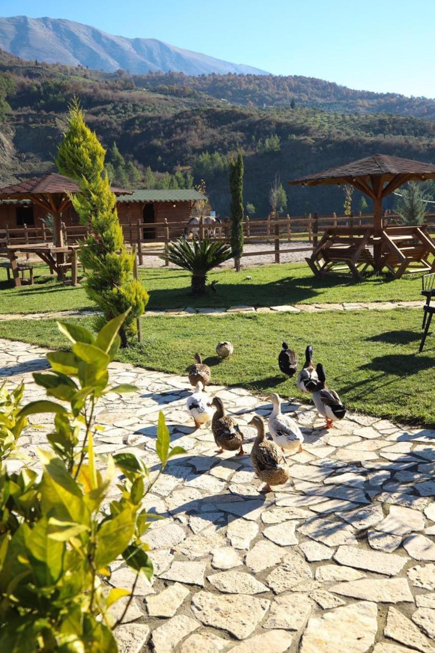 Sancho Farm Albania Villa