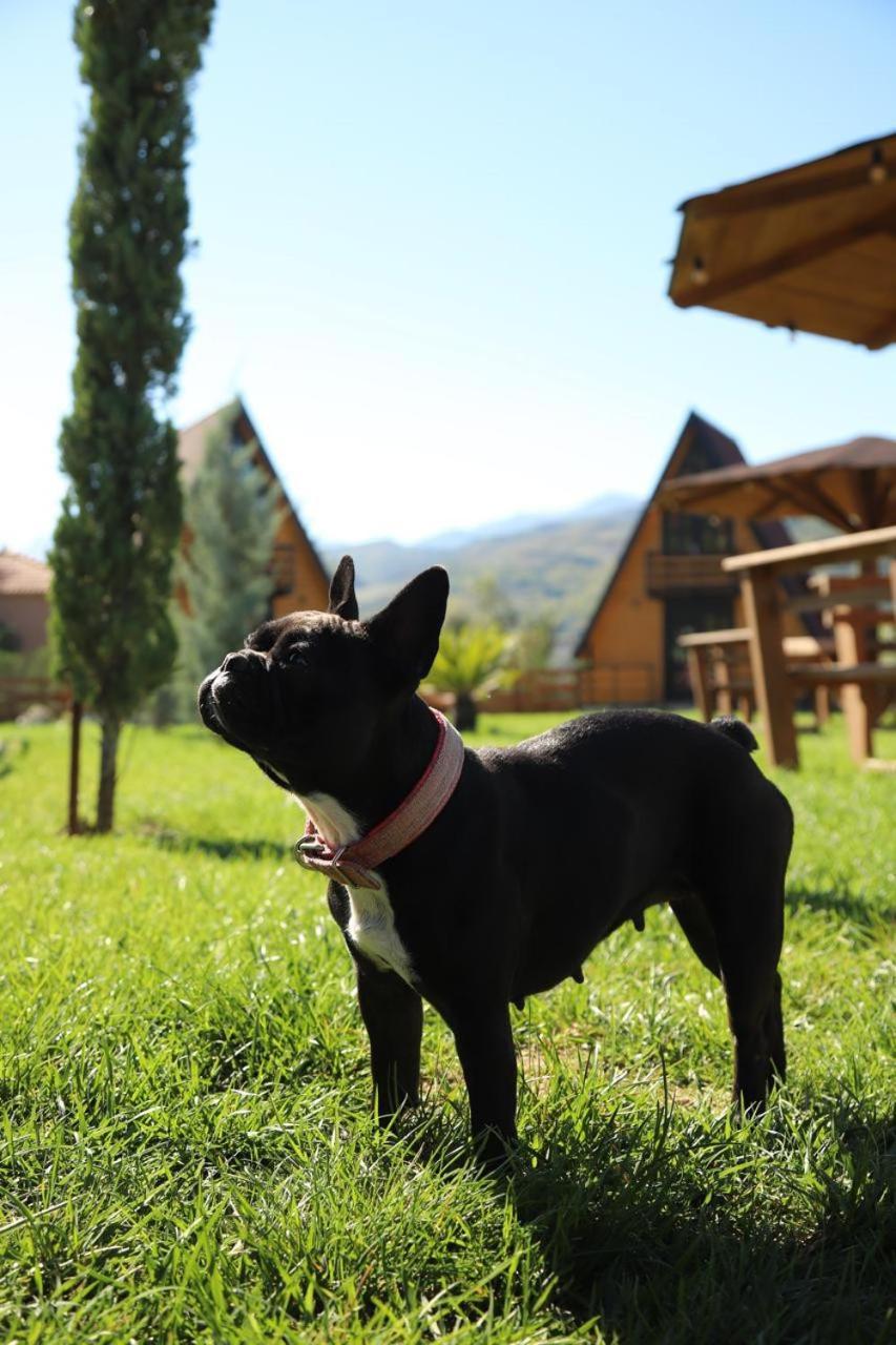 Villa Sancho Farm Albania